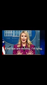 3.3K views · 63 reactions | Lol this song works | The Angsty Canadian | Facebook