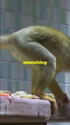 How do animals affect the structure of plant communities? #facts #shorts #viralvideo