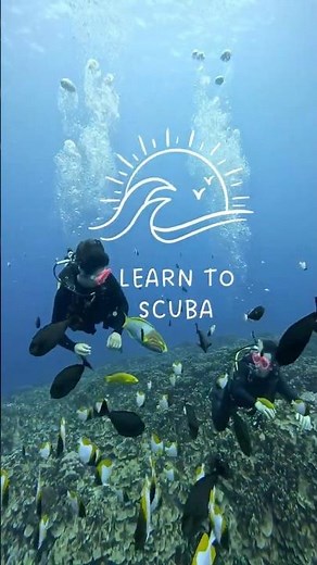 Learn to scuba #scubaschool #scubainstructor #learntoscuba