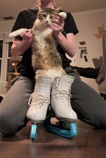 Training My Cat to Skate Like Alysa Liu