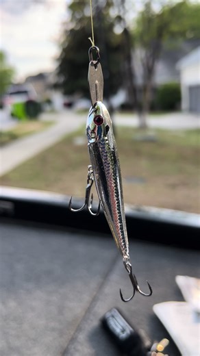 Strike King Evader Lure for Blueback Herring Fishing