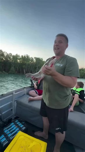 Fish caught mid-air by eagle 🤯#funfacts #facts