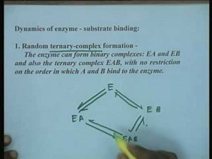Kinetics of Bi substrate enzyme Video Lecture - Biotechnology Engineering (BT)