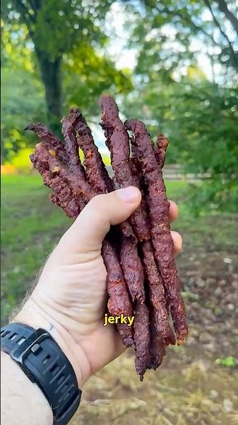 Spicy Beef Sticks (Recipe in Description)