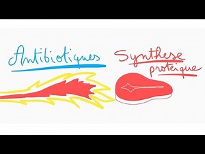 🔴 ANTIBIOTICS AGAINST PROTEIN SYNTHESIS IN 10 MIN! - DR ASTUCE