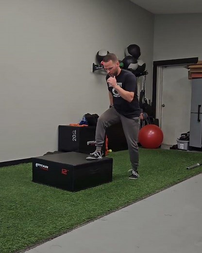 Single Leg Explosive Step Up #fitness #fitnessexercise #gymexercise