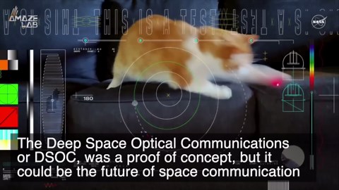 The First Video NASA Streamed Through Space With Lasers is of ‘Taters’ the Cat