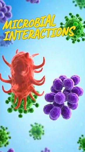 Microbial Interactions Explained | Symbiosis, Parasitism & More
