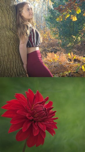 Uncover the essential techniques that make flower photography truly captivating 📸🌸 #shorts