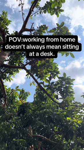 Embracing Remote Work: Tips for Productivity and Balance