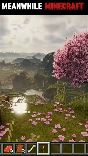Minecraft graphics like a real life #minecraft #viralvideo