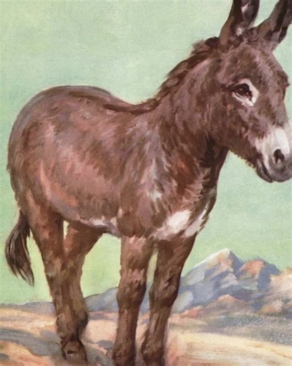 Friendly Donkey Art Print - Vintage Western Farm Animal Watercolor - Etsy