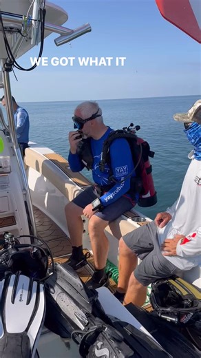 🌊 Beautiful diving conditions the past few days! 🌊 The visibility has been nice and steady, the seas have stayed calm and comfortable, and the water temps are cooling down as we head into fall—it feels great out here. ✨ Fossil hunting has been solid, with some awesome megalodon shark teeth and other prehistoric treasures turning up. It’s a perfect time to join us for a Venice fossil dive and uncover your own piece of ancient history beneath the waves. 👉 Book your Venice Fossil Dive Charter to