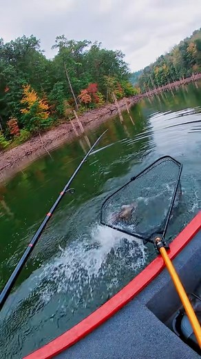 Vertical jigging a @Savage Gear Official burbort!!! #foryoupage #pisc | Musky Addict Guide Service | Facebook