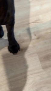 He’s supposed to be helping me study 😩 | Raising Bane