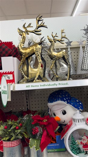 Truck day at our local Dollar Tree #dollartree #dollartreefinds | Jessica Crocker