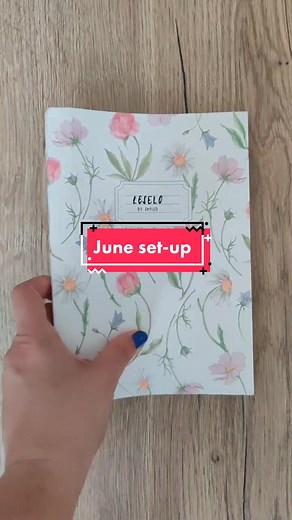 #fyp #bujo #bujoinspiration #bulletjournal #june #bujoinspiration #leselo #bujomonthly #bujosetup