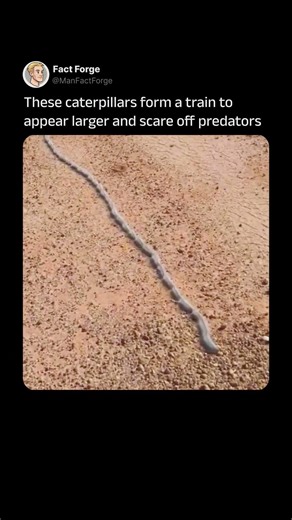 I thought they were a snake 🐍 #shorts