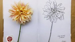 How do you draw a dahlia? (so many petals!) One petal at a time. And before you know it, you're done! (Especially if it's a time lapse!) If you'd like to build your drawing confidence and learn the tips and tricks I use when drawing, join me for Shiny Happy Drawing - an online course that starts this Sunday, and you have 'forever access' to all the videos and info so you can go at your own pace (no pressure!). Would love to see you in my virtual studio :) https://shiny-happy-drawing.teachery.co/