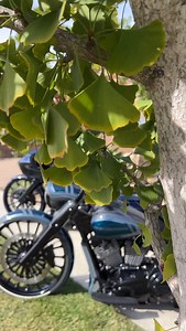 9.6K views · 640 reactions |  EVERYTHING WE BUILD / BUY & SELL IS ALWAYS TOP SHELF ️ DONT EVER SETTLE FOR ANYTHING LESS .. YOU DESERVE THE REAL   DONT BE LIKE THE WEENIES DOWM THE STREET …   Long Beach Custom Baggers ☎️ 562-449-7199 available 24/7 text line | Long Beach Custom Baggers | Facebook