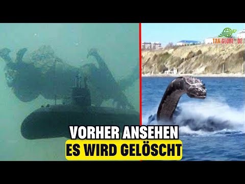 Verbotenes Filmmaterial Aus Den Philippinen Geleakt – Die Welt Ist Erschüttert! Dokumentation