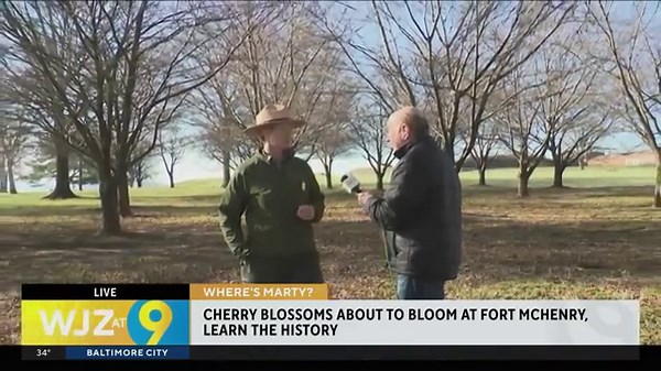 Where’s Marty: Fort McHenry in Baltimore prepares for cherry blossom season