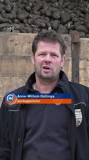 Boeren weten door een overschot geen raad met hun aardappelen