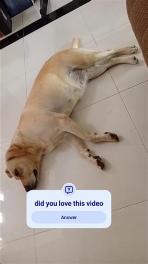 tap answer and answer for question 😇😊