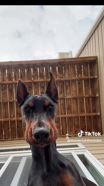 Cozy Sweater Ideas for Cold Days