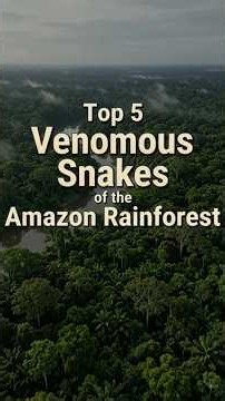 Top 5 Venumus Snake Name and Scientific Name #WildLife #Amazon #Snake