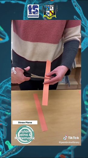 Aktiviti STEM Straw Plane: Kreativiti dalam Sains