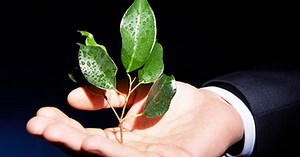 Guía crowdfunding para financiar tus proyectos