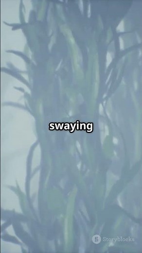 Dive into the World of Protists! #Protista #Eukaryotic #AquaticLife #Biology #LearnSomethingNew