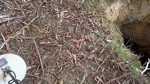 13K views · 294 reactions | Join me prospecting for nuggets deep in the Victorian golden triangle! | GOLD-COIN & RELICS AUSTRALIA | Facebook