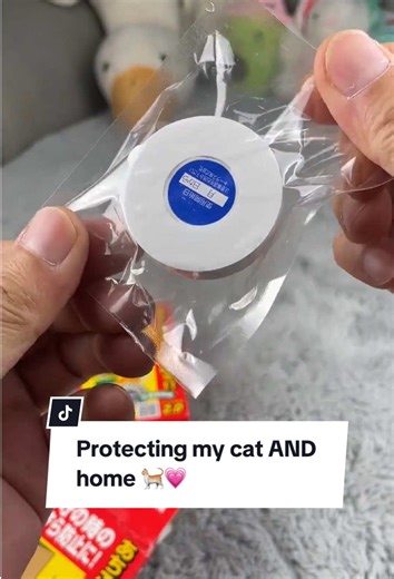 Best Cat Repellent Solutions to Keep Your Cat Safe