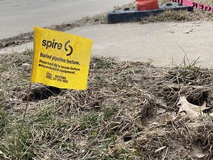 Homeowners should call 811 before digging in yards to ensure safety