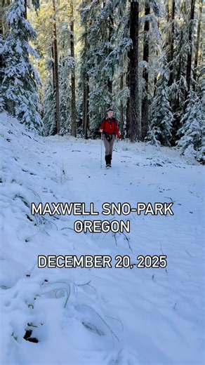 A day in the forest; the best gift you can give yourself! #theoregonchallenge | The Oregon Challenge