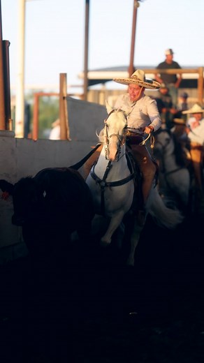 Cowboy Rides White Horse in Exciting Rodeo Event