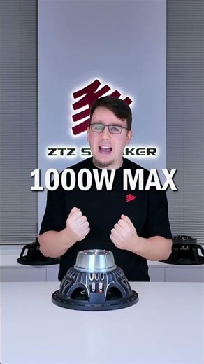 10FW350N | High-Performance Neodymium Loudspeaker