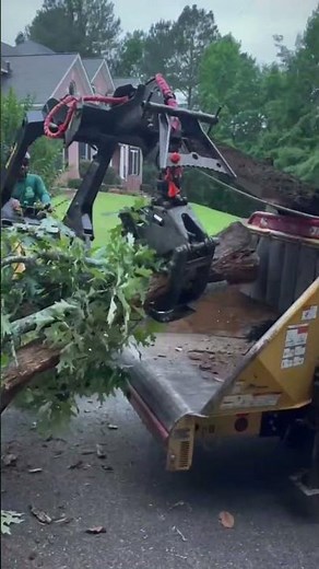 Jireh Tree Services Landscaping