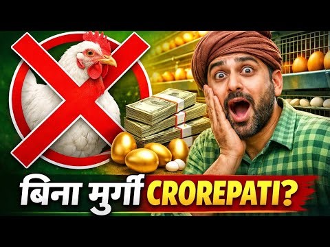 No Chicken Poultry Farming | High Profit Business Idea India