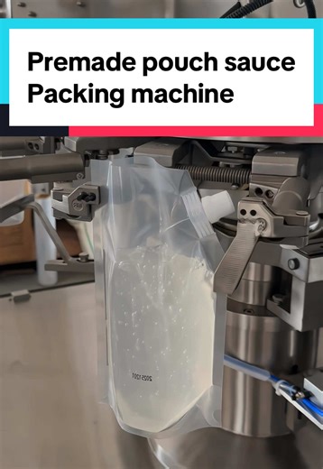 Automatic Spout Pouch Filling & Sealing Machine