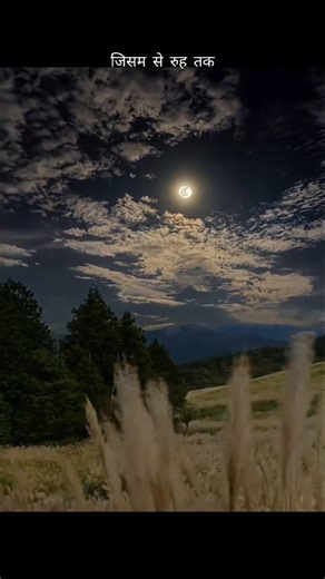 Tum ho mera pyar song haunted 3D#youtubeshorts