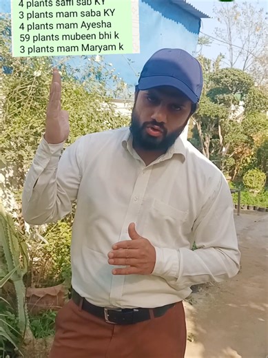 Tree Plantation Initiatives in 2026