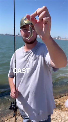 Live Mullet Fishing for Redfish, Trout, and Flounder