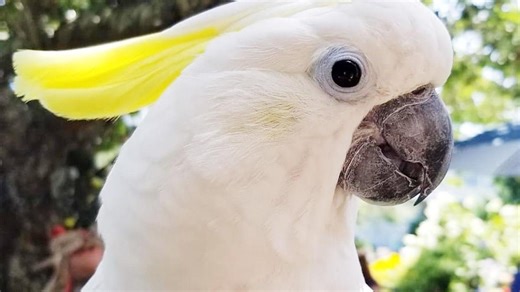 Hikes, indoor pool, beach scavenger hunt: Things to do on Cape Cod during school vacation