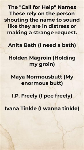 Truly Ridiculous Hilarious Names for Your Next Big Project #4