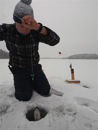 Talvikalastus: Hauki Järvellä Suomessa
