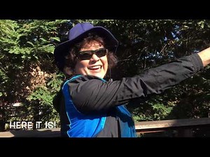 We're Going On A Bear Hunt!