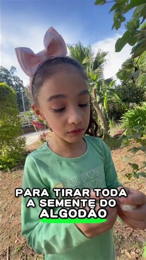 VOCÊ SABIA que o algodão nasce assim? 😲☁️